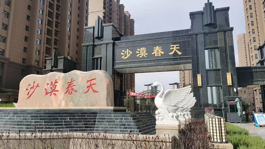 榆林沙漠春天項目